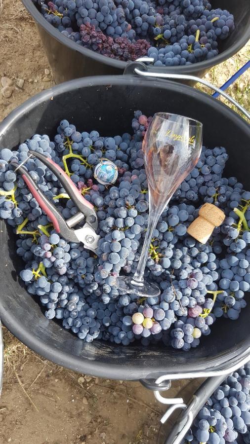 Enjoy En Champagne Maison Calme Au Milieu Du Vignoble Avec Parking Gratuit Dormans Exterior foto