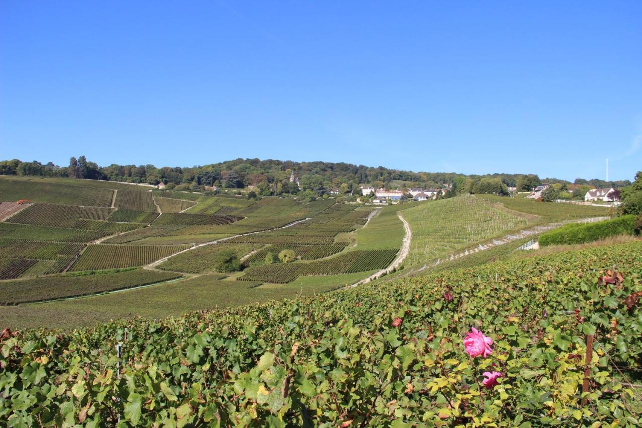 Enjoy En Champagne Maison Calme Au Milieu Du Vignoble Avec Parking Gratuit Dormans Exterior foto