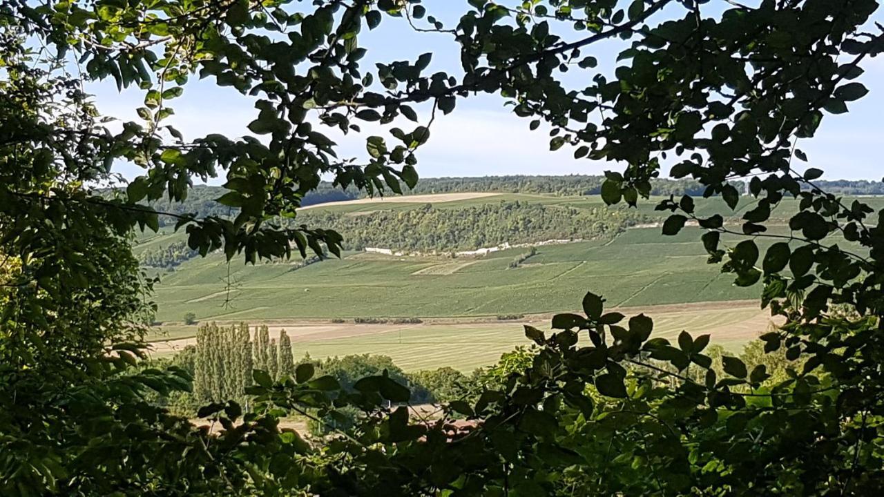 Enjoy En Champagne Maison Calme Au Milieu Du Vignoble Avec Parking Gratuit Dormans Exterior foto